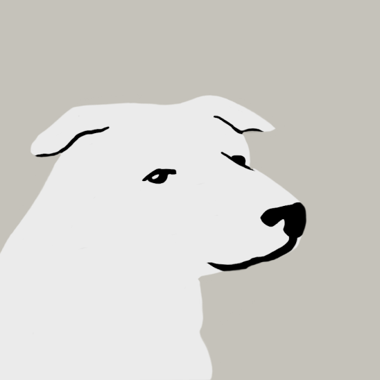 Owen logo